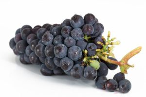 foods-to-fight-ED-grapes