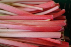 Rhubarb-nitric-oxide
