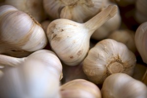 garlic-erections