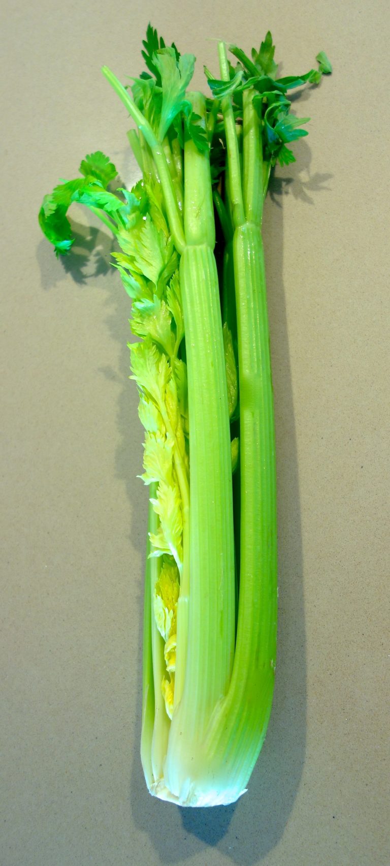 Celery And Erectile Dysfunction Boost Your Erection Naturally