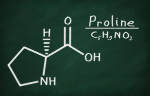 linus-pauling-protocol-reduce-plaque