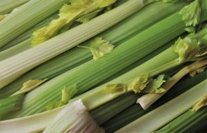 celery-vasodilator